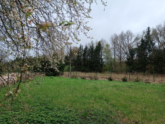 Pārdod apbūves zemi Ikšķiles centrā, vēsturiskajā privātmāju rajonā  Dainu ielā. Ogre un novads - foto 5