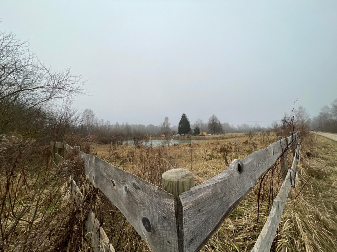 Tiek pārdots zemesgabals ar lielu dīķi Brankās.  Zemes pielietojuma veids (Dzs1) - Savrupmāju Jelgava un novads - foto 8