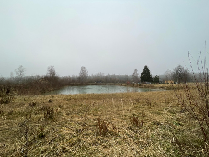 Tiek pārdots zemesgabals ar lielu dīķi Brankās.  Zemes pielietojuma veids (Dzs1) - Savrupmāju Jelgava un novads - foto 7