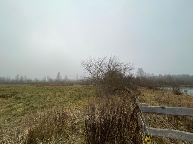 Tiek pārdots zemesgabals ar lielu dīķi Brankās.  Zemes pielietojuma veids (Dzs1) - Savrupmāju Jelgava un novads - foto 4