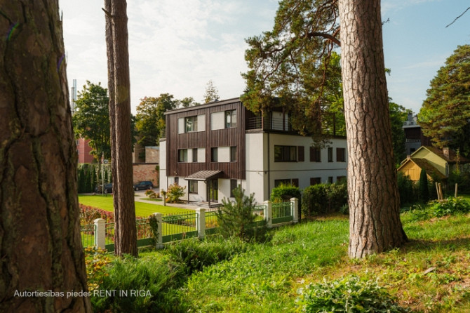 Jūras šalkoņa, vēja skaņas caur priedēm, jūras gaiss rada miera oāzi - vietu, kur laiks Jūrmala - foto 1