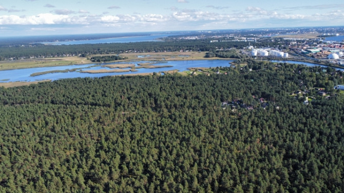 Iegādei pieejams plašs zemesgabals, ar kopējo platību 50 392 m2  Mangaļu pussalā.  Lieliska Rīga - foto 6