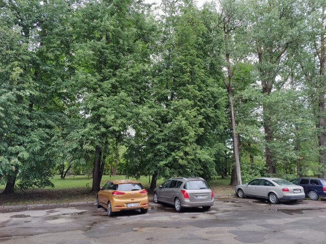 Pārdod 4 stāvu biroju ēku ar zemi 0.6350 ha.  Īpašumā ietilpst: (C) Buļļu iela 70a - parks Rīga - foto 6