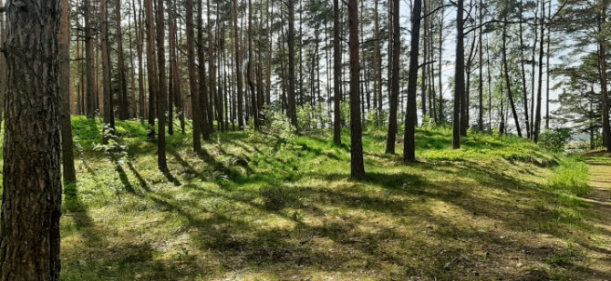 Предлагается земельный участок в красивом, тихом месте, окруженном сосновым Юрмала - изображение 8