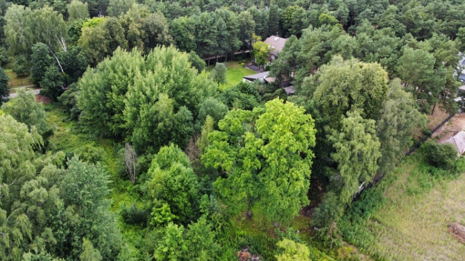 Pārdod plašu zemes gabalu Mežaparkā. Tieši pie Visbijas prospekta, blakus ir pieejamas visas Rīga - foto 9