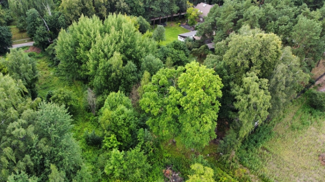 Pārdod plašu zemes gabalu Mežaparkā. Tieši pie Visbijas prospekta, blakus ir pieejamas visas Rīga - foto 6
