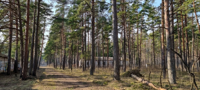 Zemes apbūves gabals pēc jaunā attīstības plāna dzīvojamam sektoram līdz 3 stāvu augstumam Rīga - foto 6