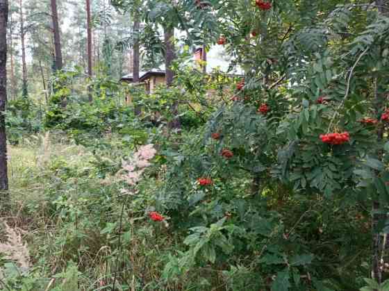 Building plot for sale in Ezerkrasts village, Sunīši, Garkalne parish, located in the immediate vici Rīgas rajons