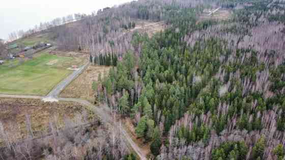 For sale 3.24 ha plot of land on the Vidzeme seacoast, 300 m from the sea. The property is located i Limbaži un novads
