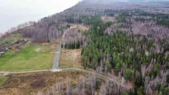 For sale 3.24 ha plot of land on the Vidzeme seacoast, 300 m from the sea. The property is located i Limbaži un novads