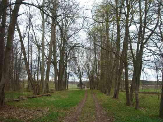 Just a 1.5-hour drive from Riga, nestled in a picturesque landscape and rural tranquility, lies a 50 Valka un novads