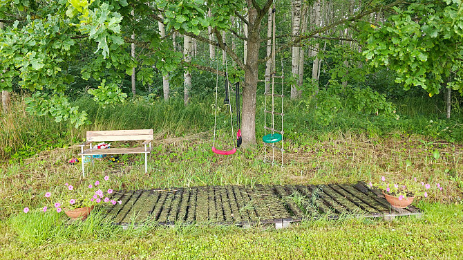 Pilno īpašuma video tūri var noskatīties, nospiežot uz mājas lapas sludinājuma lejas daļā. Tas... Ogresgals - foto 10