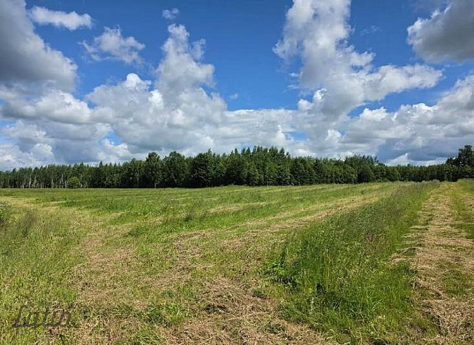 Pārdod īpašumu Valmieras novadā, Ķoņu pagastā. Kopējā platība  40,7 ha.
Nekustamā Valmiera un novads - foto 1