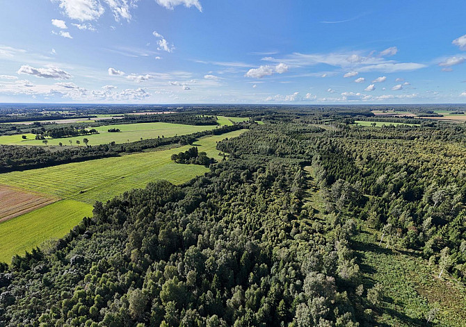 Pārdod īpašumu Valmieras novadā, Ķoņu pagastā. Kopējā platība  40,7 ha.
Nekustamā Valmiera un novads - foto 8