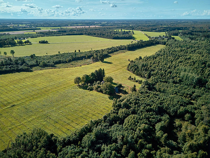 Pārdod īpašumu Valmieras novadā, Ķoņu pagastā. Kopējā platība  40,7 ha.
Nekustamā Valmiera un novads - foto 6