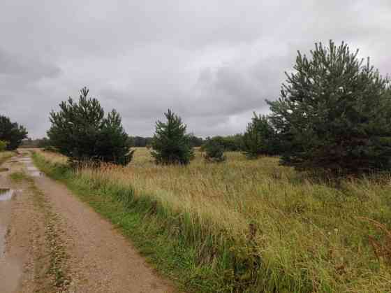 Land located 200 metres from the Baltic Sea.  A rectangular, flat meadow, partially overgrown with s Лиепая