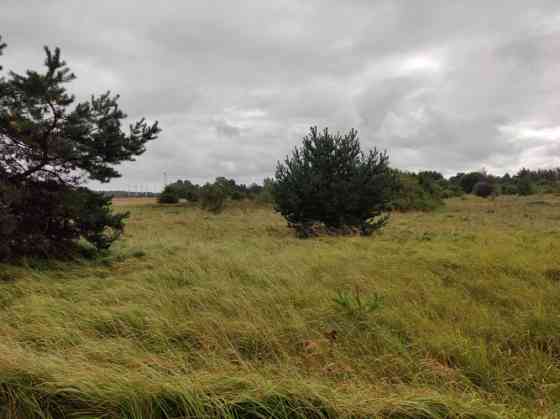 Land located 200 metres from the Baltic Sea.  A rectangular, flat meadow, partially overgrown with s Лиепая
