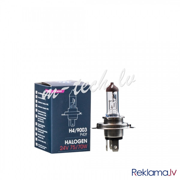 Z904 - M-TECH Halogen bulb H4 24V/75/70W Рига - изображение 2