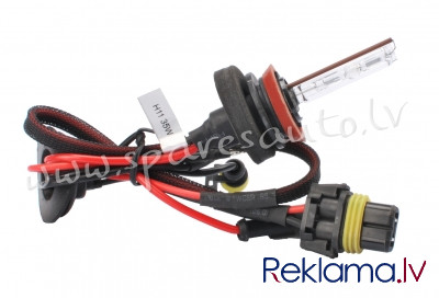 ZMPH1143 - H11 M-TECH Basic H11 4300K Bulb - Ksenona Spuldzite - UNSORTED XENON BULBS Rīga - foto 1