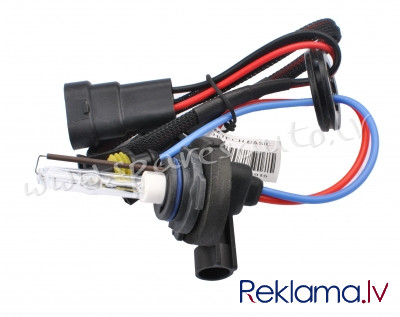 ZMPHB48 - HB4 HID BULB 9006(HB4) 35W 8000K - Ksenona Spuldzite - UNSORTED XENON BULBS Рига - изображение 1